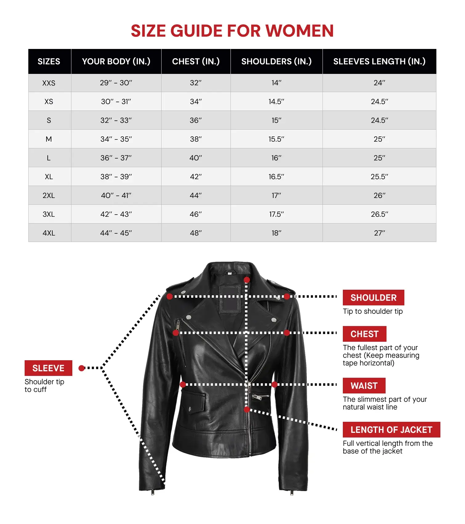 Jacket Area Size Guide For Women Updated