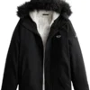 Hollister Winter Jacket