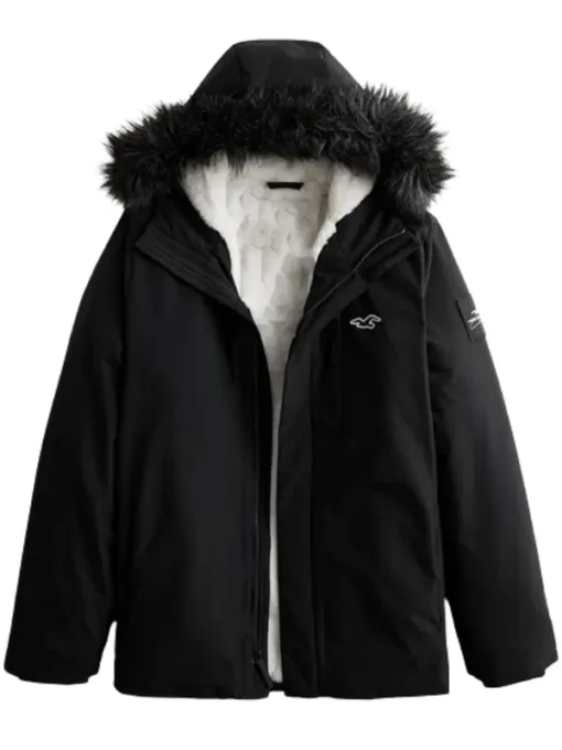 Hollister Winter Jacket