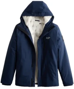 Hollister Winter Jacket Back