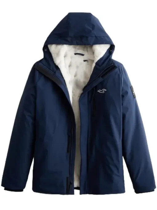 Hollister Winter Jacket Back