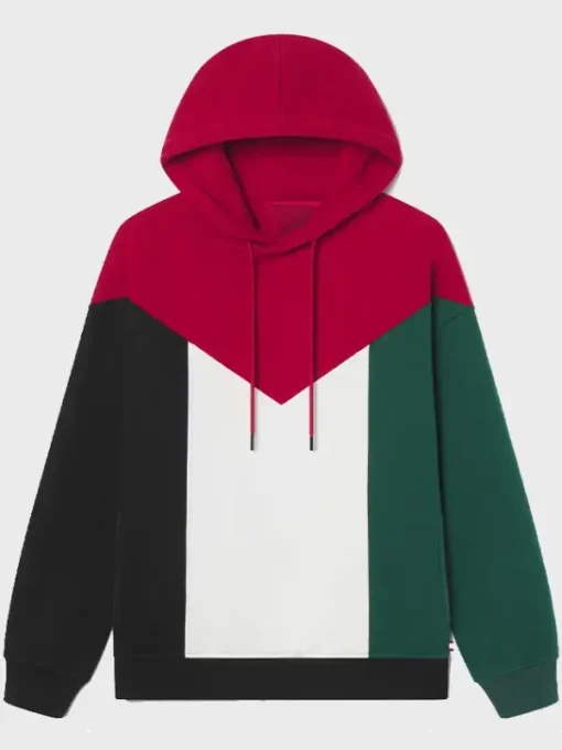 Palestine Flag Pullover Hoodie