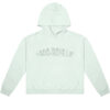 1-800-Boys-Lie-Mint-Green-Hoodie