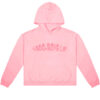 1-800-Boys-Lie-Pink-Hoodie