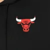 Chicago Bulls Logo Hoodie