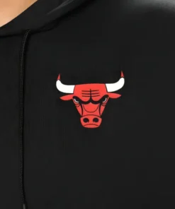 Chicago Bulls Logo Hoodie
