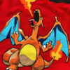 Fire Type Pokemon Mountain Jacket For Sale