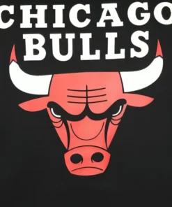NBA Unisex Chicago Bulls Hoodie Black Pullover Hoodie Back