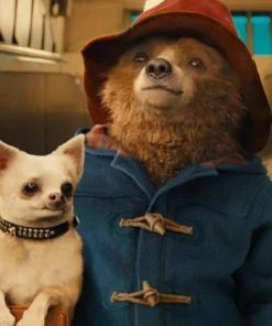 Paddington in Peru Blue Coat