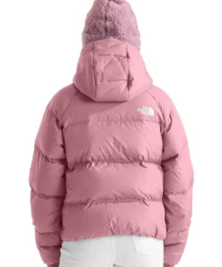 The North Face North Down Back Jacket