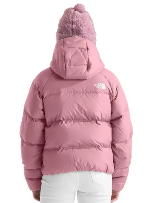 The North Face North Down Back Jacket