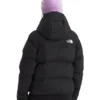 The North Face North Down Hooded Jacket Back