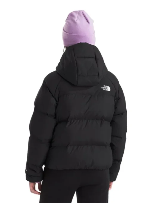 The North Face North Down Hooded Jacket Back