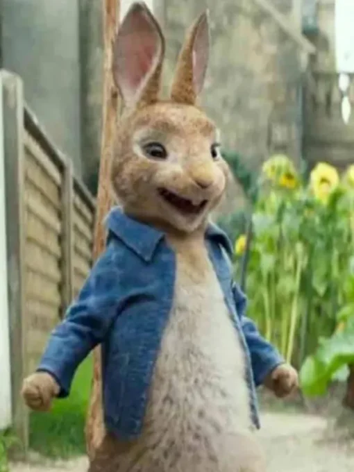 James Corden Peter Rabbit 2 Blue Denim Jacket